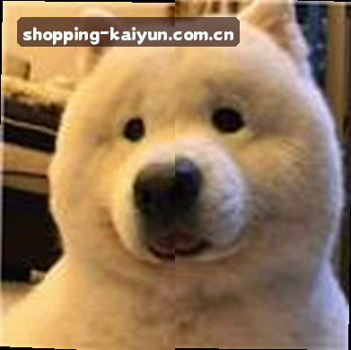 张磊